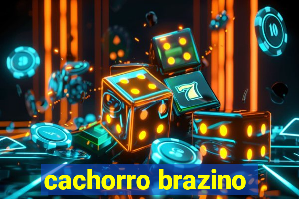 cachorro brazino